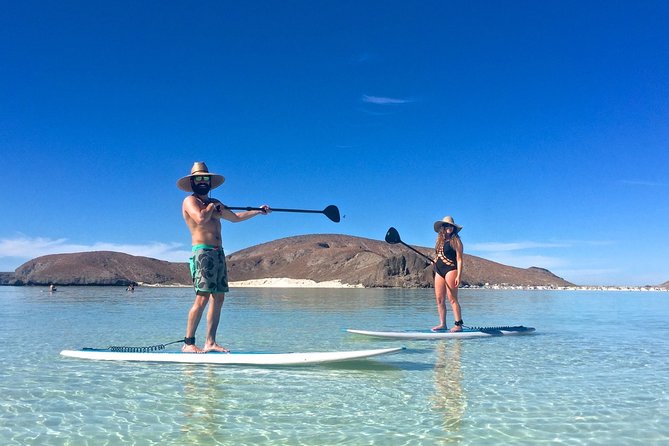 1 Day Espiritu Santo Island Wonders, Sea Lions and Paddleboard Adventure - Key highlights at a glance