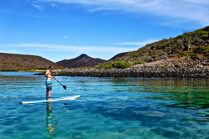 1 Day Espiritu Santo Island Wonders, Sea Lions and Paddleboard Adventure - Snorkeling in crystal-clear water: gear included, guide keeps it safe