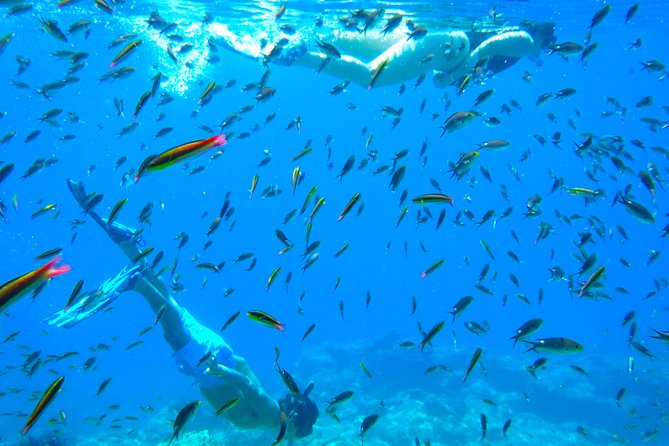 1 Day Espiritu Santo Island Wonders, Sea Lions and Paddleboard Adventure - Paddleboarding after lunch: fun, easy, and very photogenic