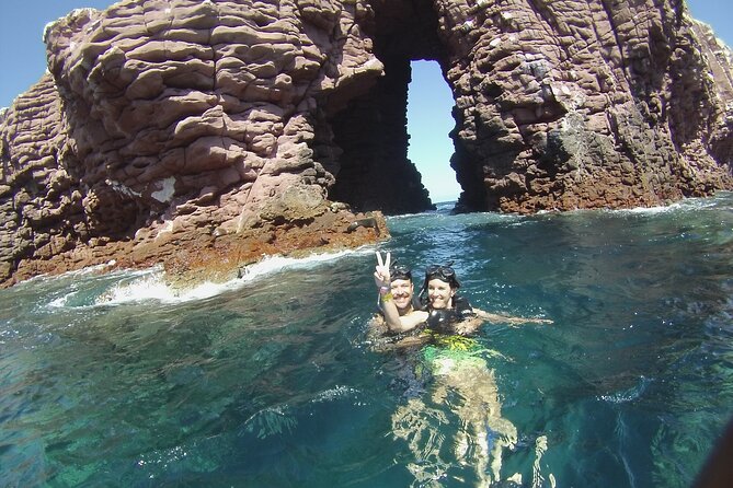 1 Day Espiritu Santo Island Wonders, Sea Lions and Paddleboard Adventure - The $249 price: what you’re really paying for, and when it’s best value