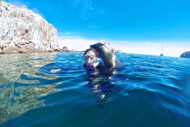 1 Day Espiritu Santo Island Wonders, Sea Lions and Paddleboard Adventure - Who this tour fits best (and who should think twice)