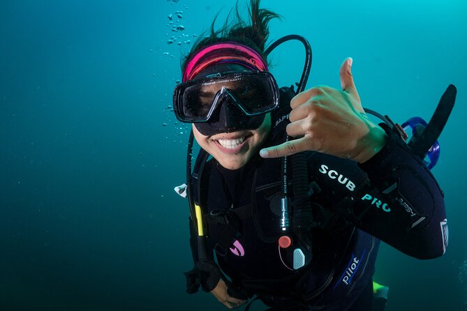 2 Dives in the Cabo Marine Park - Getting to Cabo’s Marine Park with a small-group feel