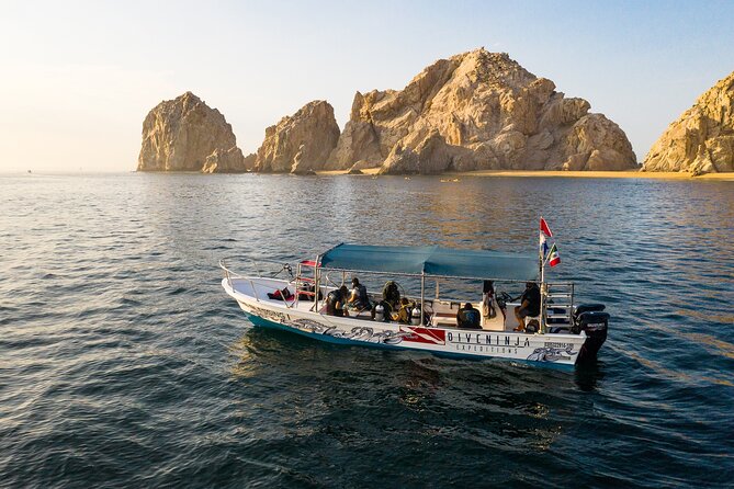 2 Dives in the Cabo Marine Park - Sustainability, donations, and why it should matter to you