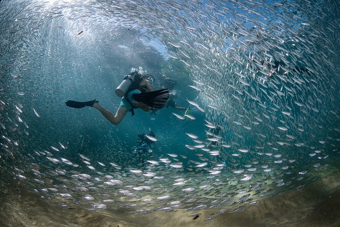 2 Dives in the Cabo Marine Park - Your two underwater sessions, and what each Cabo stop is known for