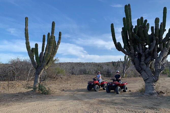 2-Hour ATV Riding Experience in San Jose del Cabo - Cost and value: $110 is just part of the total