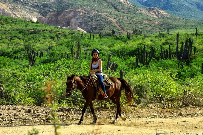 2 Hours Horseback Riding Adventure in Cabo - The Animal Sanctuary Stop: Why It Adds Real Value