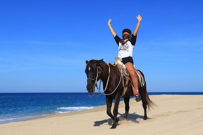 2 Hours Horseback Riding Adventure in Cabo - Meeting Your Horse and Getting Proper Intro Time