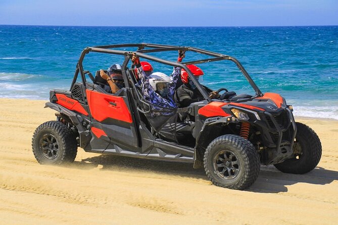 2 hours Horseback Riding & Dune Buggy Combo at Migriño Beach - The small zoo stop and tequila tasting, the end-of-tour unwind