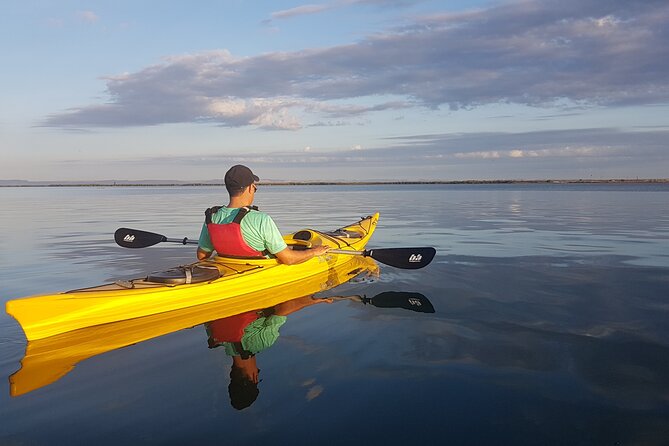 2 Hours of Kayak Safari in Bahía de La Paz - The Return Paddle Across the Bay