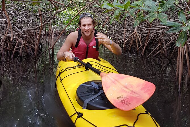 2 Hours of Kayak Safari in Bahía de La Paz - The 6 km Paddle Through Bahía de La Paz