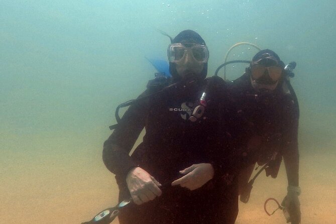 2 Tank Dive - Certified Divers (Santa Maria Bay & Chileno Bay) - Chileno Bay: jacks, tunas, and that schooling energy