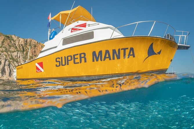 2-Tank Scuba Dive in Cabo San Lucas Reserve for Certified Divers - Price and value: what the $138 covers, and where extras show up