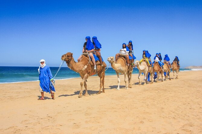 2x1 Tour: Cabo San Lucas Arch + Camels Ride + Pick up! - Lunch at Casa Típica: a Pacific Ocean buffet finish