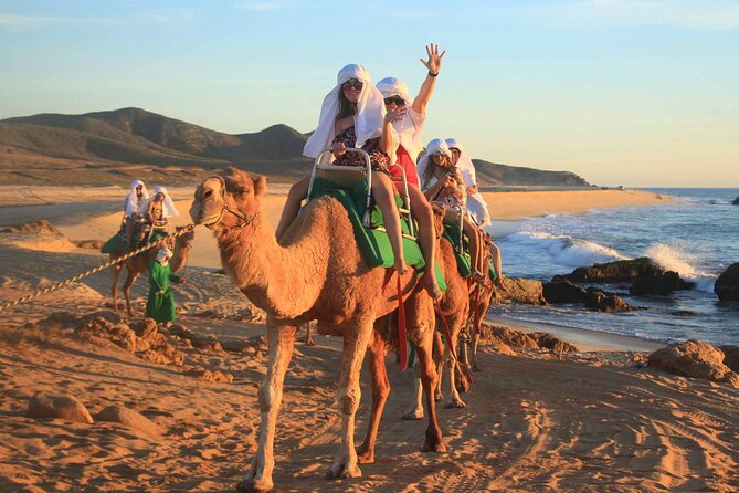2x1 Tour: Cabo San Lucas Arch + Camels Ride + Pick up! - Pickup timing, group size, and how to prepare for a smooth 4 hours