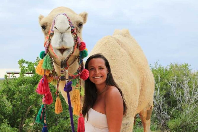 2x1 Tour: Cabo San Lucas Arch + Camels Ride + Pick up! - FAQ
