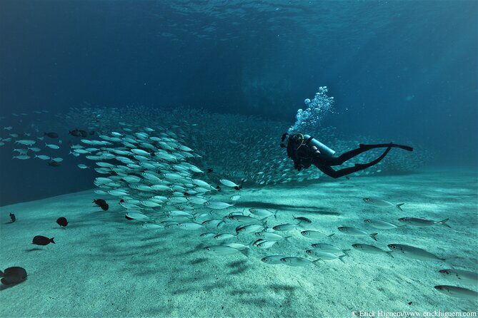 3-Tank Scuba in Marine Reserve and Corridor for Certified Divers - Underwater stops: what to expect at Cabo’s Arch and the other typical sites