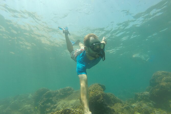 4-Hour Snorkeling Tour in Cabo San Lucas and Corridor - Price and value: what $109 buys you