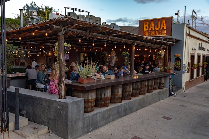 4 Hours Art Walk Experience in Cabo - Key highlights