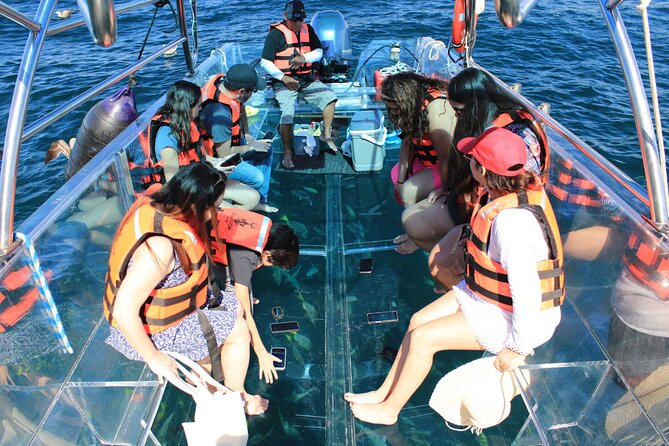 45 Minute Transparent Boat Ride to the Arch of Cabo San Lucas - Stop 2: Pelican Rock under your feet