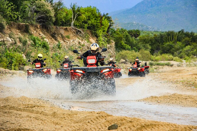 4x4 ATV Adventure with Tequila Tasting and Mexican Buffet Lunch - Key Things to Know Before You Go