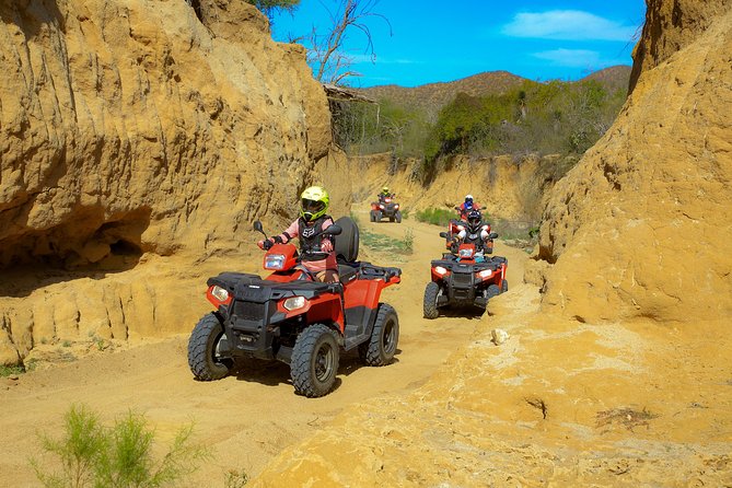 4x4 ATV Adventure with Tequila Tasting and Mexican Buffet Lunch - Ocean-View Mexican Buffet: Unlimited Food, Quesadillas, and Vegetarian Options
