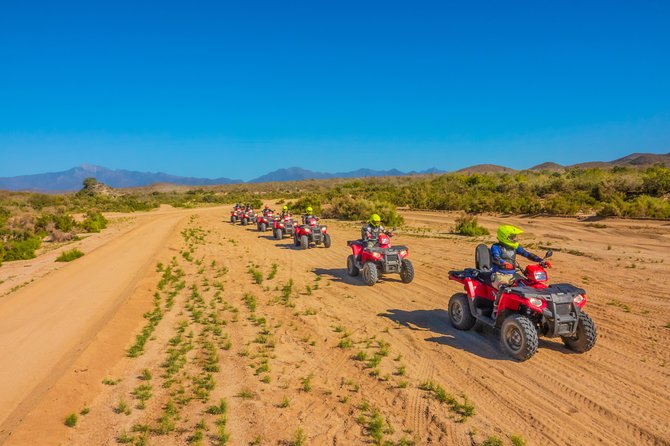 4x4 ATV Adventure with Tequila Tasting and Mexican Buffet Lunch - Tequila and Mezcal Tasting: What You Actually Get With Lunch