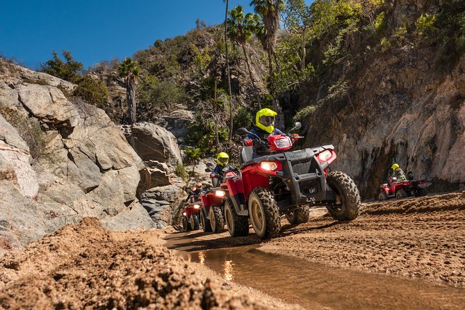 4x4 ATV Adventure with Tequila Tasting and Mexican Buffet Lunch - Cost Reality Check: $75 Ticket Plus Entrance and ATV Insurance