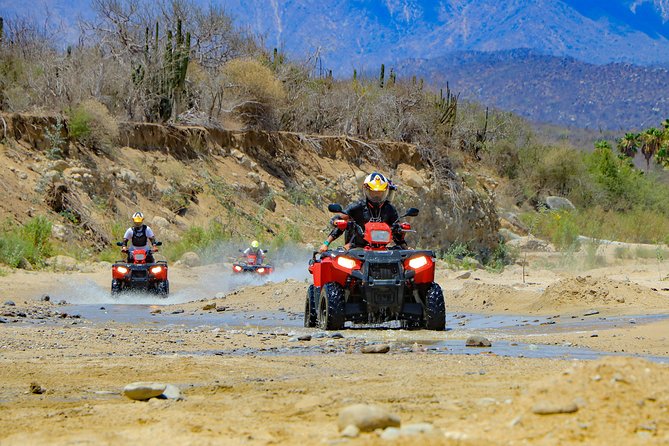 4x4 ATV Adventure with Tequila Tasting and Mexican Buffet Lunch - Pickup and Shuttle Timing: Comfortable Van Ride, Possible Long Drop-Off