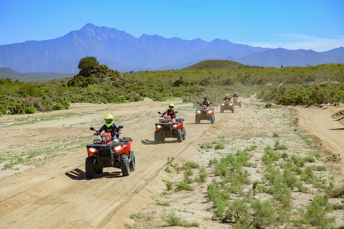 4x4 ATV Adventure with Tequila Tasting and Mexican Buffet Lunch - Who Should Book This ATV + Tequila Day (and Who Should Skip It)