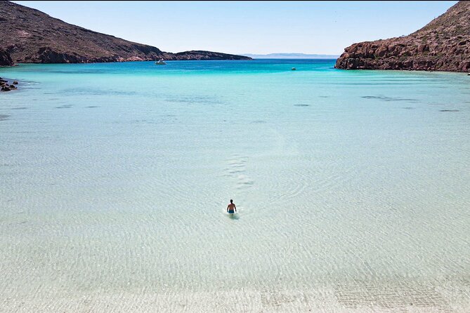 Adventure to Espiritu Santo Island: Snorkel with Sea Lions and Beach - Key things to know before your Espiritu Santo sea lion day