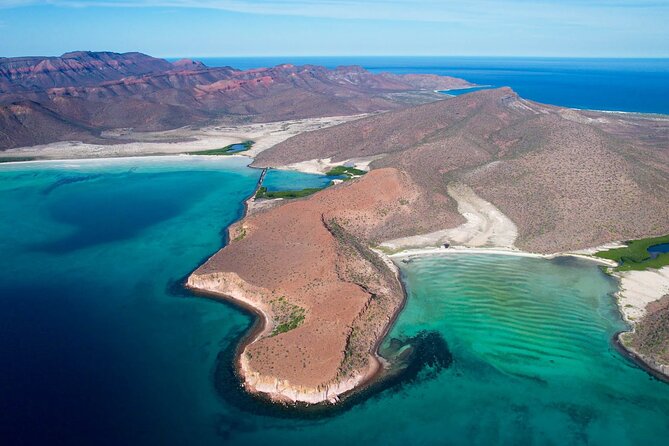 Adventure to Espiritu Santo Island: Snorkel with Sea Lions and Beach - Why Los Islotes sea lions feel so special here