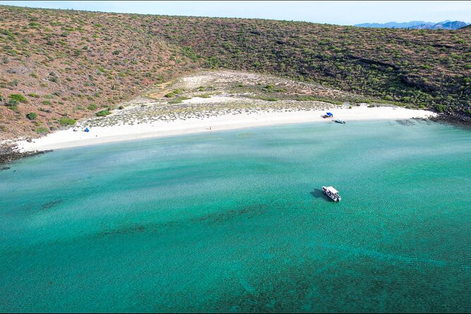 Adventure to Espiritu Santo Island: Snorkel with Sea Lions and Beach - Wildlife chances beyond the sea lions