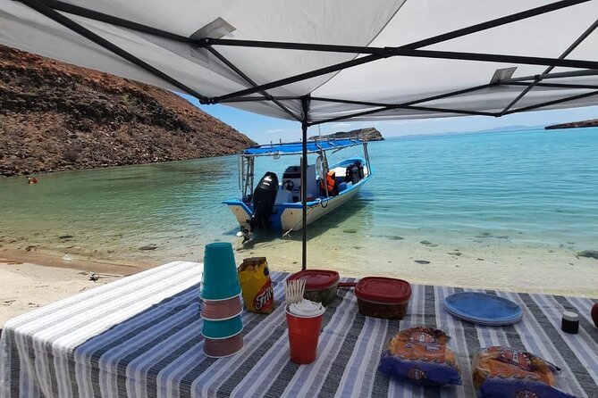 Adventure to Espiritu Santo Island: Snorkel with Sea Lions and Beach - Boat ride reality check: timing, sea conditions, and comfort