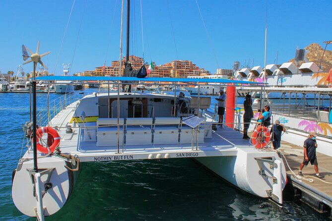 All Inclusive Cabo Boat Tour: Snorkeling, Food, and Drinks - Stop 4: Pelican Rock, wildlife potential and a different kind of scenery