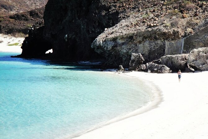 All-Inclusive Catamaran Tour | Beaches & Sea Lions from Los Cabos - Why this La Paz catamaran beats a Los Cabos day trip