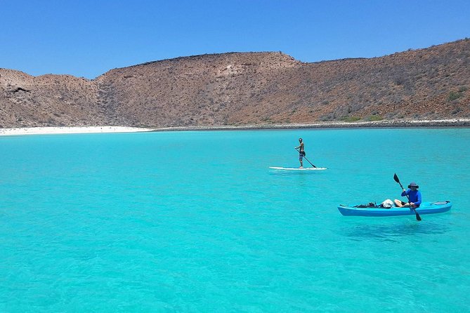 All-Inclusive Catamaran Tour | Beaches & Sea Lions from Los Cabos - Sailing time in the Sea of Cortez: what the marine biologist adds