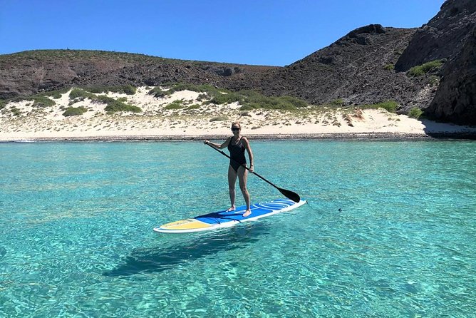 All-Inclusive Catamaran Tour | Beaches & Sea Lions from Los Cabos - Group size, timing, and what you should plan for