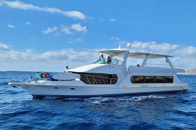 All Inclusive HUGE 75ft Yacht Up to 50 Guests Early Bird Promo - All-inclusive means chef apps first, then the main meal