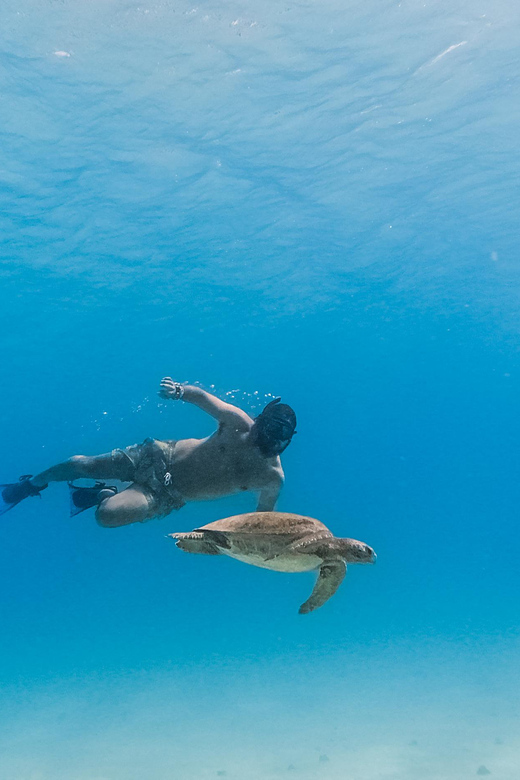 All-inclusive Snorkel in Balandras Hidden beaches, La Paz - Snorkeling at Balandra and the La Paz Water Stops