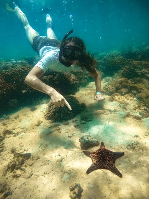 All-inclusive Snorkel in Balandras Hidden beaches, La Paz - Kayaks, Hidden Coves, and the White Sand Beach Moment