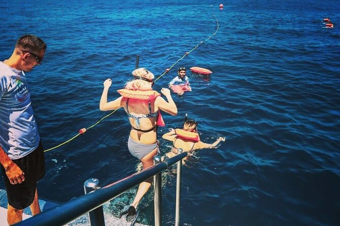 Amazing Cabo and Snorkel Adventure - The Open Bar and Taco Setup That Keeps the Mood Up