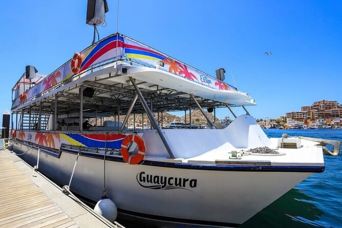 Amazing Cabo and Snorkel Adventure - Launching from Cabo Marina and Chasing the Views by Boat