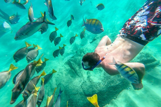 Arch Views & Snorkeling Paradise at Chileno Beach Private tour - Who should book this Arch and Chileno snorkeling tour?