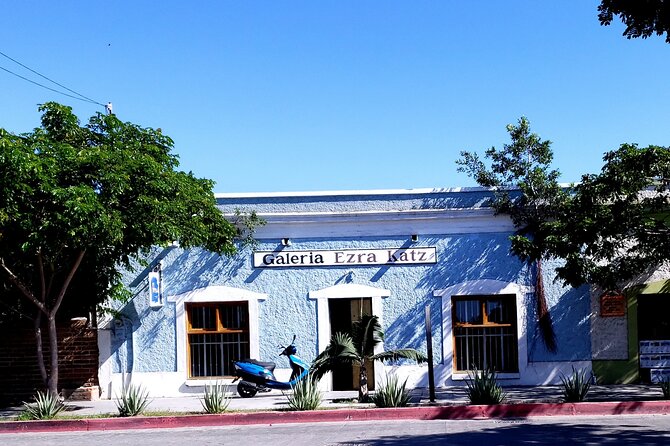 Art and Culture in Todos Santos - Who This Tour Fits Best (and who might want something else)