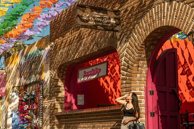 Art and Wine Evening City tour in San Jose del Cabo for Adults - Key Highlights at a Glance