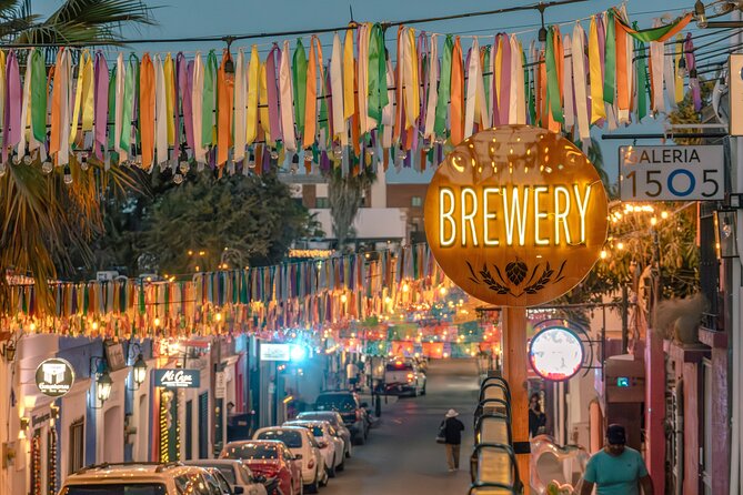 Art and Wine Evening City tour in San Jose del Cabo for Adults - Guides, Conversation, and the Small-Group Advantage