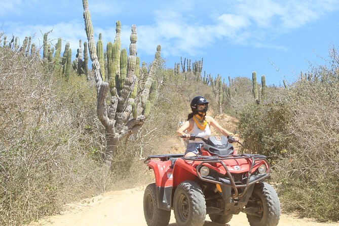 ATV and Camel Experience Los Cabos - Tequila tasting with Tony: optional, adult-only, and not a requirement