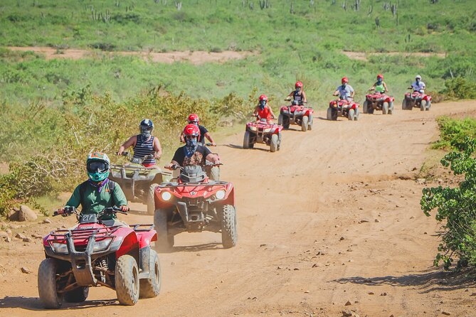 ATV Single in Cabo San Lucas /2 Hours/ migriño beach and desert - The Tequila Museum Finish: How the Tasting Fits the Timing