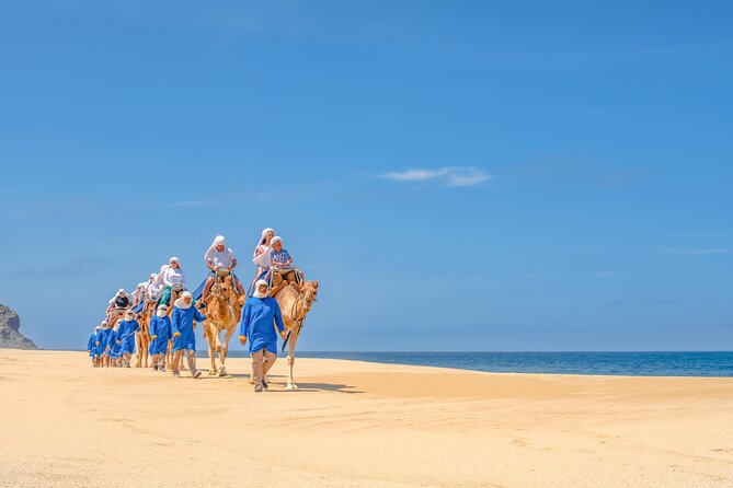 ATV Tour, Camel Ride, Tequila Tasting and Mexican Buffet Lunch - Tequila and mezcal tasting plus buffet lunch at the oceanfront