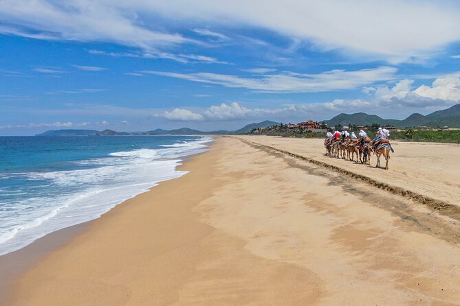 ATV Tour, Camel Ride, Tequila Tasting and Mexican Buffet Lunch - Price reality check: what you pay, what you pay later, and what feels worth it